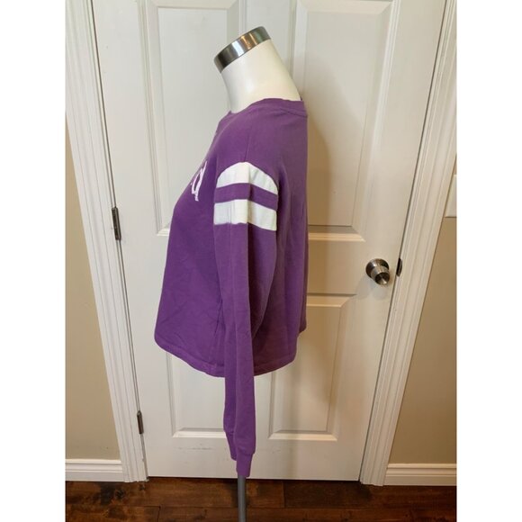 Disney Purple Mickey Mouse Disneyland Striped Sweatshirt, Size Medium - Picture 3 of 5